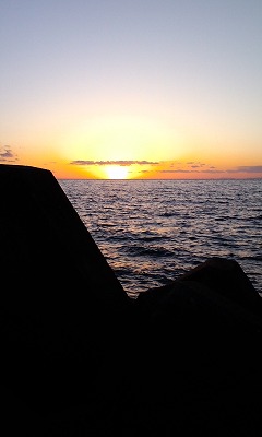 23N1l 009.jpg