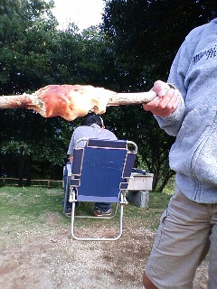  010.jpg