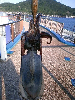  014.jpg