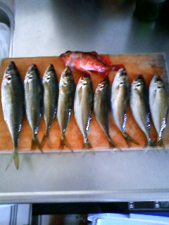 a̎Rk`Cނ 001.jpg