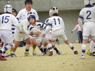 h1211.jpg