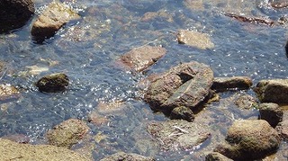 ˂@˓ 028.jpg