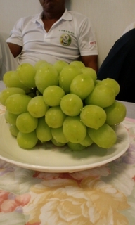 PAP_0049.jpg