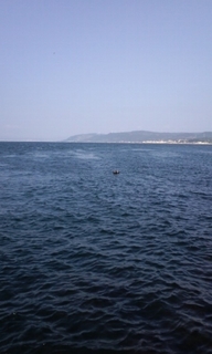 PAP_0074.jpg