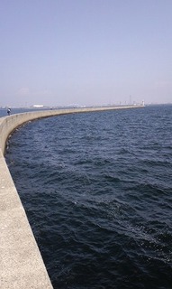 PAP_0106.jpg